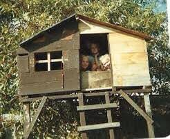  tree house 