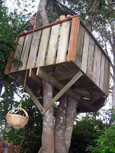  tree house 